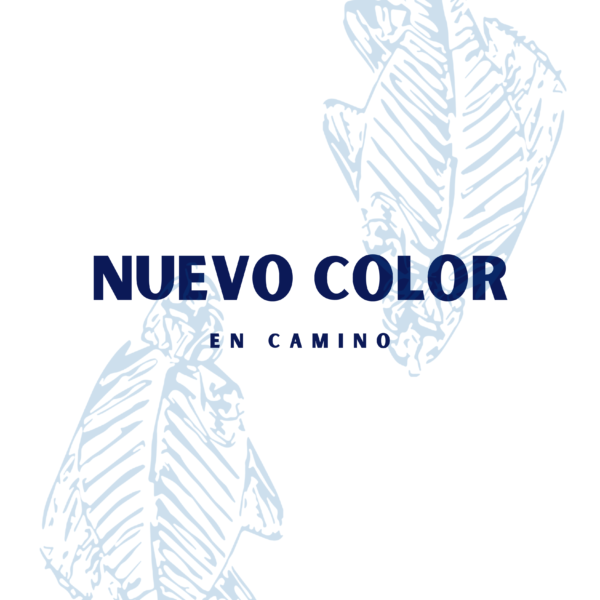 Nuevo_producto_en_camino_-_azul_1.png