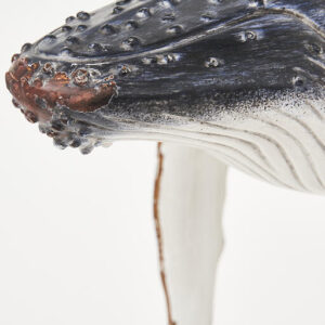 ballena-jorobada-realista-detalles-cabeza-marmare.jpg