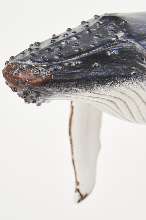 ballena-jorobada-realista-detalles-cabeza-marmare.jpg