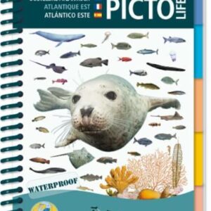 Marine Pictolife