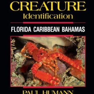 Reef Creature Identification